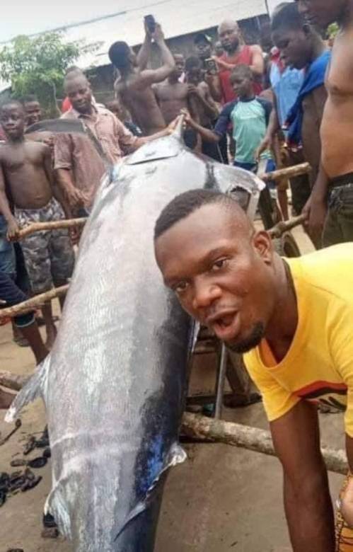 Man catches fish worth $2.6 million...eats it with villagers