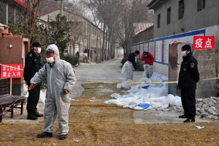China reports first human case of H10N3 bird flu strain