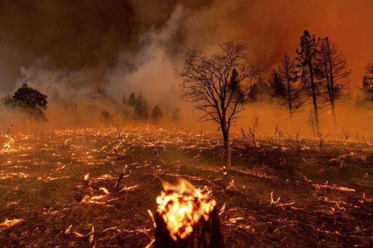 Wildfires rage in several states as heatwave broils Western U.S.