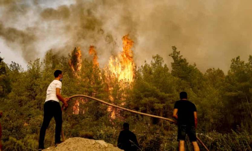 Tourists evacuated from Pescara as Italy records more than 800 hit by forest fires