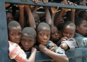 Warning that children may be trafficked from Haiti