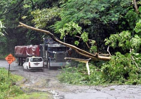 Jamaica: $2 billion needed to restore agricultural sector from storm damage