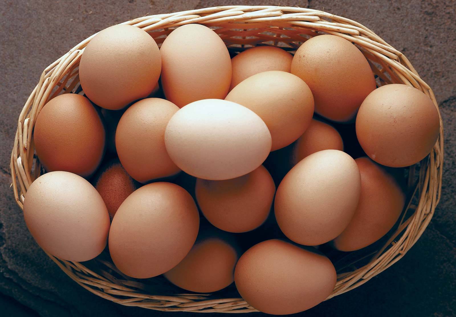 Grenada faces an egg shortage