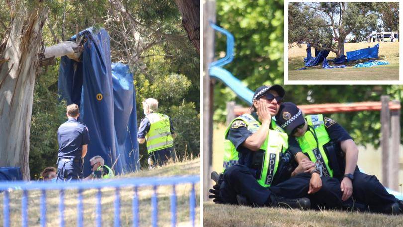 Two children killed and several others injured Tasmania bouncy castle fall