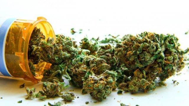 SVG granted permission to export medical cannabis