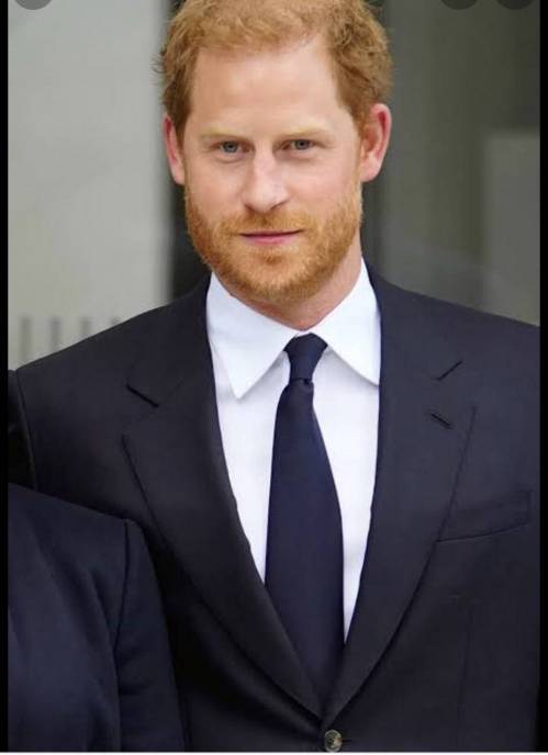 Prince Harry Seeking Judicial Review For Decision To Pay For His Family's Police Protection In UK