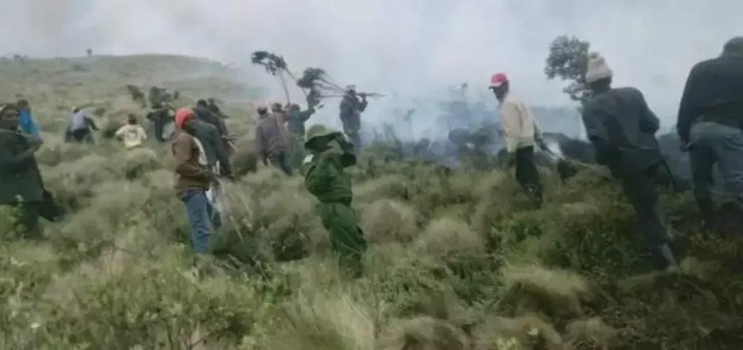 More than 600 hectares of Kenya's national park has been destroyed by fire