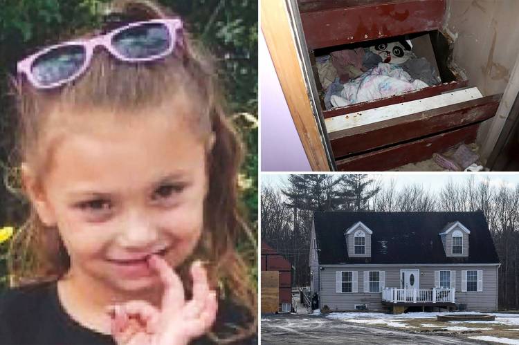 US girl Paislee Shultis missing since 2019 found alive in a secret room