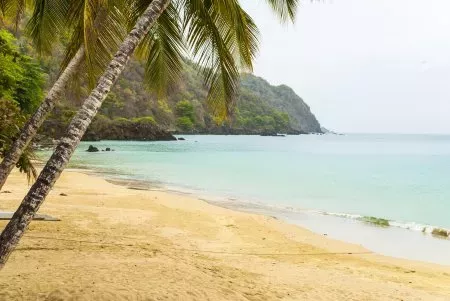 Mystery as man's body found without a head on T&T beach