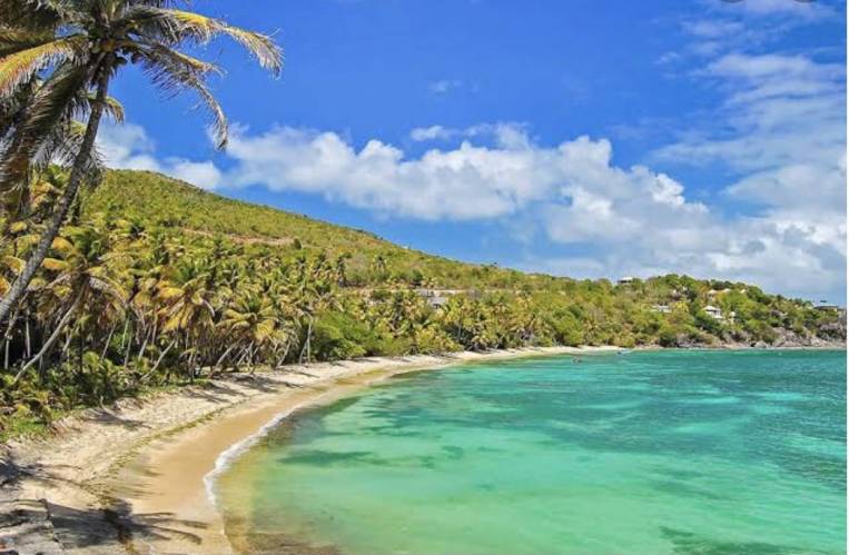 Investors buy Caribbean island to start their own country
