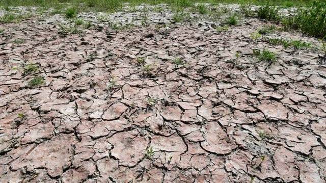 Northern Italy declared a Drought emergency