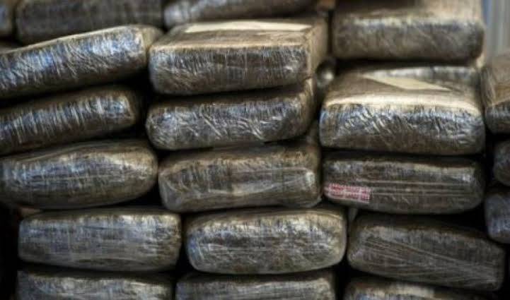 Jamaica: 16-year-old girl and a 57-year-old man held with US$2m worth of ganja