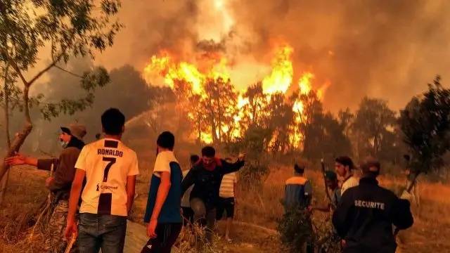 At least 26 dead in Algeria forest fires, minister says