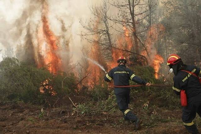 At least 38 dead, Algeria forest fires emergency officials say