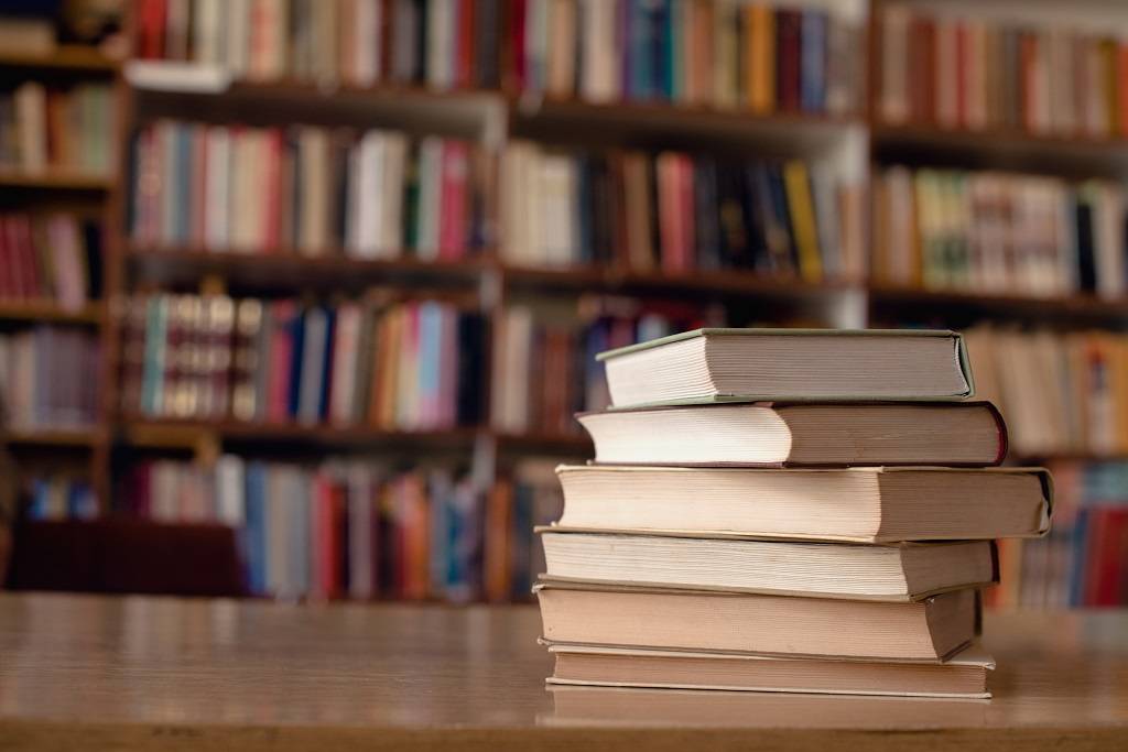 Five Vincentian authors you should know