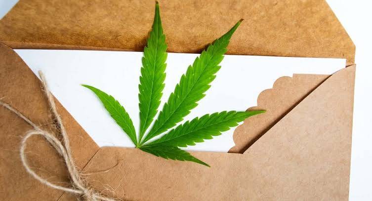 Jamaica: Westmoreland man convicted for trying to mail ganja