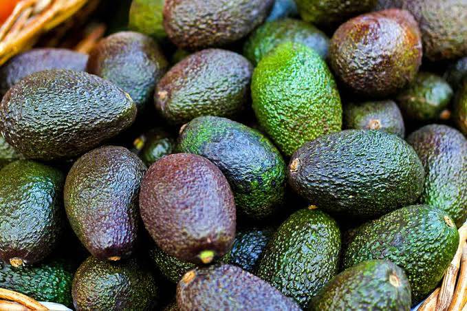 Stolen avocados? Man jailed in Grenada for one year