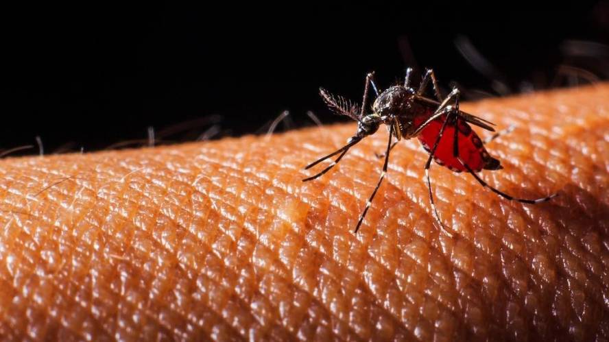 Guyana aiming to reduce malaria cases by 2025