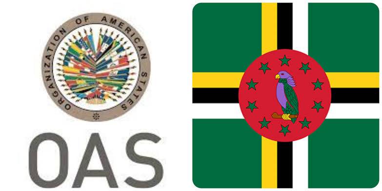 OAS to observe general election in Dominica