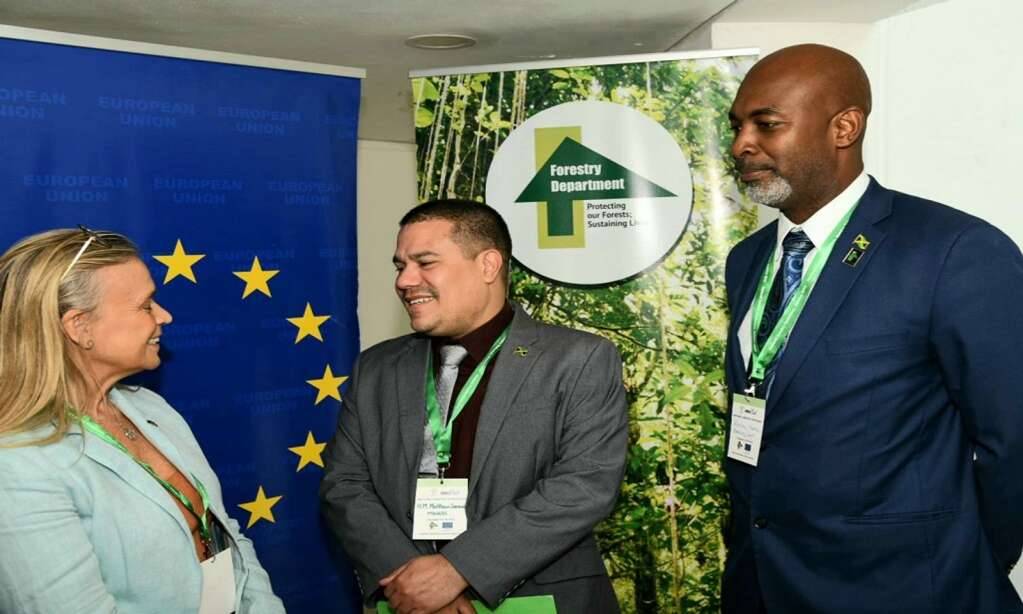 Jamaica: 3000 trees to be planted along Lady Musgrave and East King’s House roads