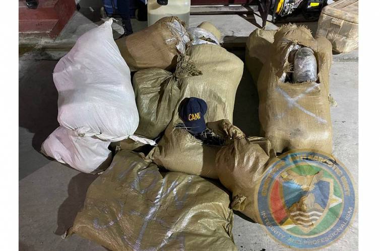 CANU agents in Guyana make $20M Christmas cannabis bust