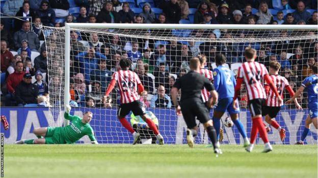 Cardiff City 0-1 Sunderland: Cardiff further into the Championship relegation fight