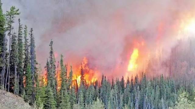 Canada fights hundreds of wildfires due to Air quality