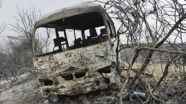 Fifteen killed and hundreds evacuated from Algeria wildfires
