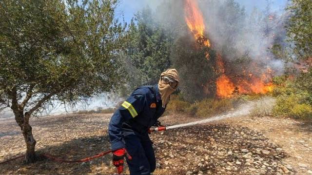 Mediterranean wildfires kill more than 40 in Algeria, Italy and Greece