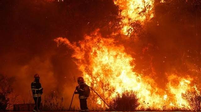 Portugal fights wildfires amid third heatwave of the year