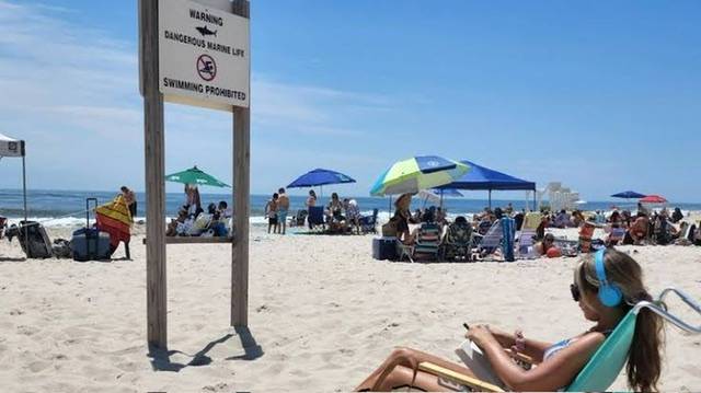 New York City beach shut down after a shark attacked a woman