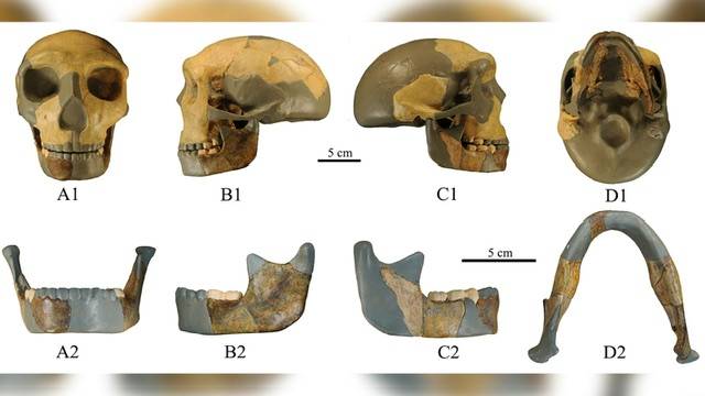 An ancient 300,000-year-old skull found in China unlike any human seen before