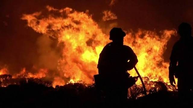 Greece deadly wildfires: Eighteen bodies found in Greek forest